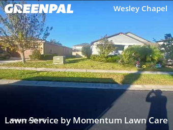 Lawn Servicein Wesley Chapel,33543,Grass Cutting by Momentum Lawn Care, work completed in Feb , 2026