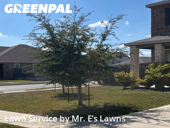 Lawn Mowing Service nearby San Antonio, TX, 
