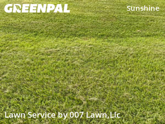 Lawn Maintenance nearby Lehigh Acres, FL, 
