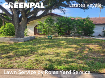 Affordable Landscaping Maintenance Services In Mc Allen,78504,Landscaping Services by Rojas Yard Service, work completed in Nov , 2025