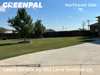 Yard Cuttingin Schertz,78108,Lawn Service by Wcj Land Services Llc, work completed in Nov , 2025