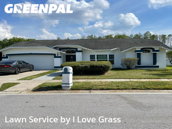Grass Cutting nearby Land O' Lakes, FL, 