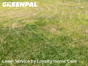 Lawn Mow nearby Melbourne, FL, 