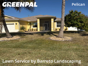 Lawn mowed in Cape Coral, 33914