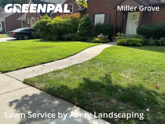 Grass Cut nearby Detroit, MI, 