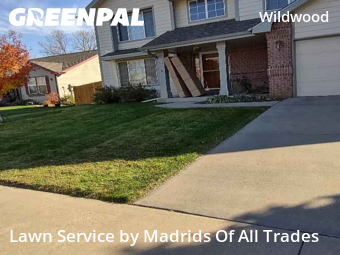 Turf Services in Fort Collins, 80528, Lawn Cutting by Madrids Of All Trades, work completed in Nov , 2025