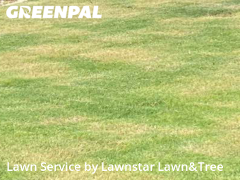 Yard Mowing nearby Cibolo, TX, 