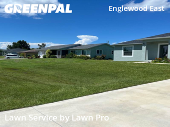 Grass Cuttingin Englewood,34224,Grass Cut by Lawn Pro, work completed in Nov , 2025