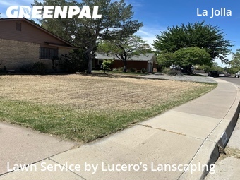 Lawn Cut nearby Albuquerque, NM, 