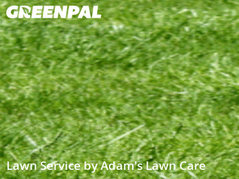 Lawn Mow nearby St. Louis, MO, 