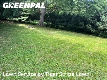 Lawn Maintenance nearby Bellevue, NE, 