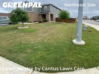 Lawn Cut nearby San Antonio, TX, 