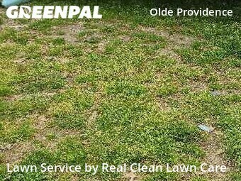 Lawn Cut nearby Charlotte, NC, 