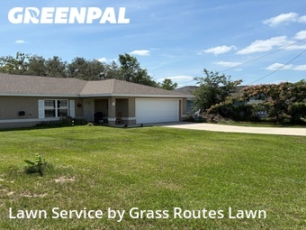 Grass Cut nearby Ocala, FL, 