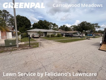 Lawn Care Service nearby Tampa, FL, 