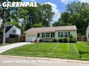 Lawn Care nearby Independence, MO, 