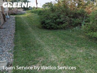 Lawn mowed in Loveland, 80538