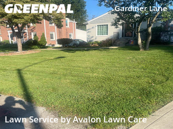 Lawn Mow nearby Louisville, KY, 
