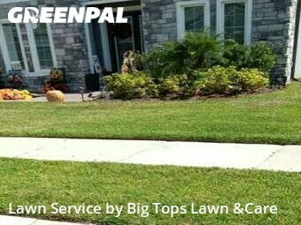 Grass Cutting nearby Winter Park, FL, 