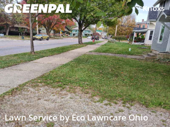 Yard Management in Westerville, 43081, Yard Grooming by Eco Lawncare Ohio, work completed in Dec , 2025