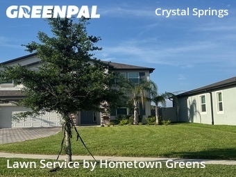 Lawn Mow nearby Zephyrhills, FL, 