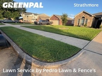 Lawn Cut nearby Katy, TX, 
