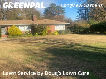 Lawn Care nearby Raleigh, NC, 
