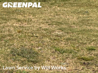 Front Yard Mowing in Rock Hill, 29730, Front Yard Mowing by Will Works, work completed in Nov , 2025