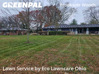 Weekly Mowing in Columbus, 43235, Yard Care by Eco Lawncare Ohio, work completed in Nov , 2025
