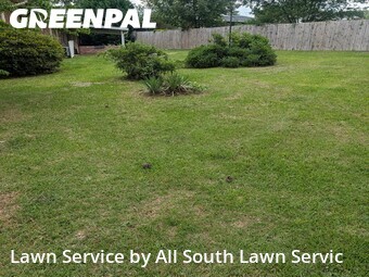 Lawn Cutting nearby Columbia, SC, 