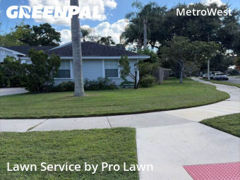 Grass Cut nearby Orlando, FL, 