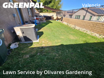 Work completed by grass-care-professionals-in-Santa Clarita-CA