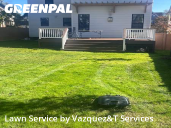 Yard Care in Edgewater, 21037, Backyard Mowing by Vazquez&T Services, work completed in Nov , 2025