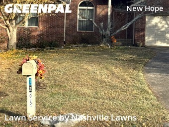 Backyard Landscaping In Nashville,37076,Landscaping Renovation by Nashville Lawns, work completed in Jan , 2026