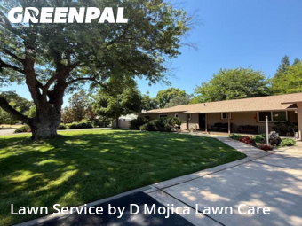 Work completed by grass-trimming-service-in-Sacramento-CA