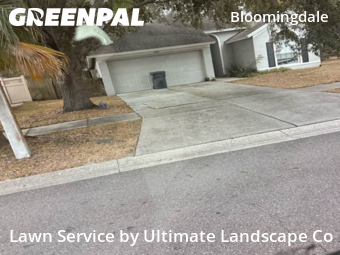 Yard Maintenance in Bloomingdale, 33596, Lawn Cutting by Ultimate Landscape Co, work completed in Nov , 2025