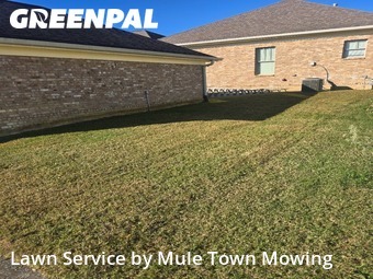 Yard Care Services in Nolensville, 37135, Lawn Management by Mule Town Mowing , work completed in Dec , 2025