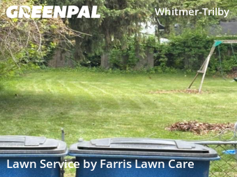 Grass Cut nearby Toledo, OH, 