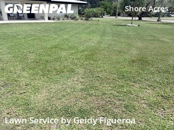Grass Cutting nearby St. Petersburg, FL, 