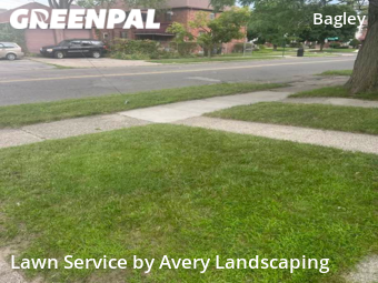 Grass Cut nearby Detroit, MI, 