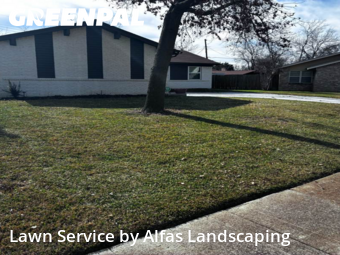 Landscaping Maintenance In Irving,75062,Landscape Design by Alfas Landscaping, work completed in Jan , 2026