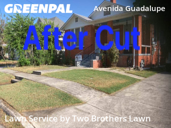 Grass Cutting nearby San Antonio, TX, 