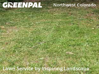 Grass Cutting nearby Colorado Springs, CO, 