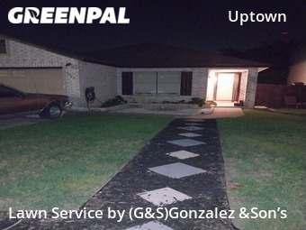 Grass Cut nearby San Antonio, TX, 
