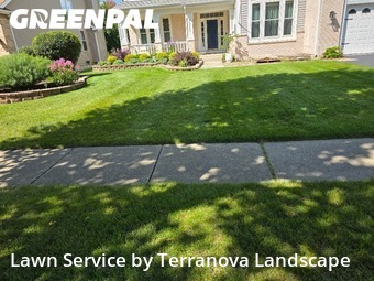 Backyard Mowing in West Chicago, 60185, Property Maintenance by Terranova Landscape, work completed in Dec , 2025