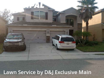 Grass Cut nearby Orlando, FL, 