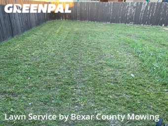 Grass Cut nearby San Antonio, TX, 