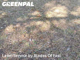 Lawn Cutting nearby Atlanta, GA, 