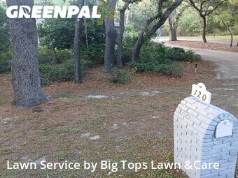 Lawn Mow nearby Winter Springs, FL, 