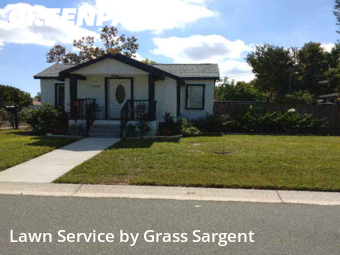 Landscape Design In St. Petersburg,33713,Landscape Design by Grass Sargent, work completed in Nov , 2025